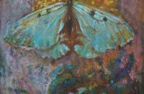 Motyl