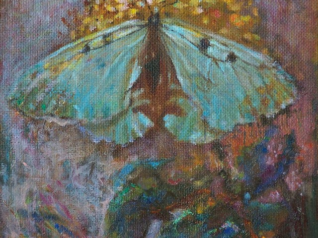 Motyl
